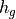 h_g