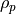 \rho_p