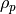 \rho_p