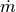 \dot{m}