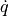 \dot{q}